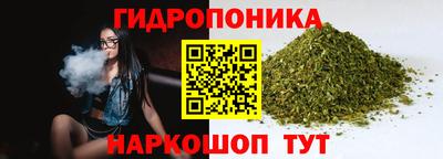 соль ск Будённовск