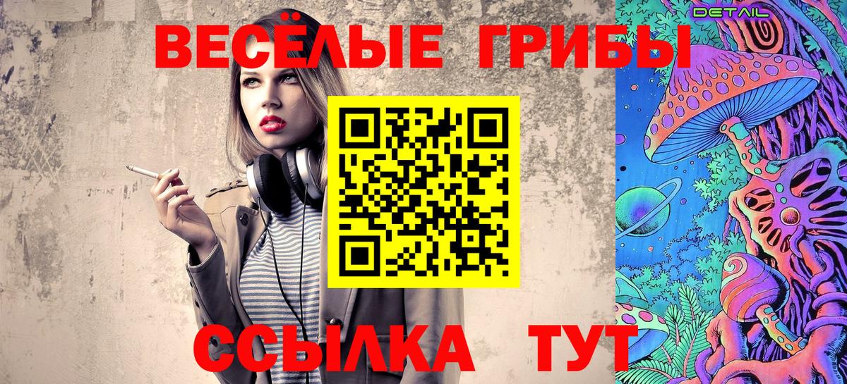 Осинники  Галлюциногенные грибы Psilocybe  Вход с VPN 